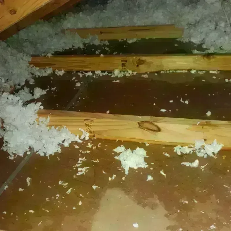 Attic Water Damage in Mound, MN